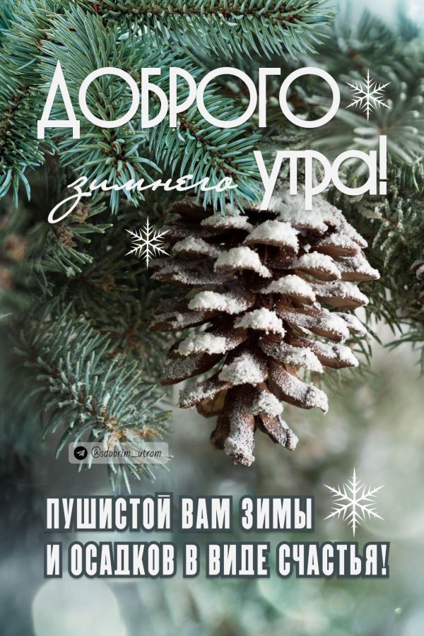 зимнего утра