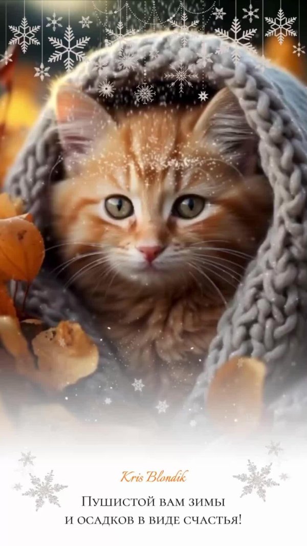 котик зима
