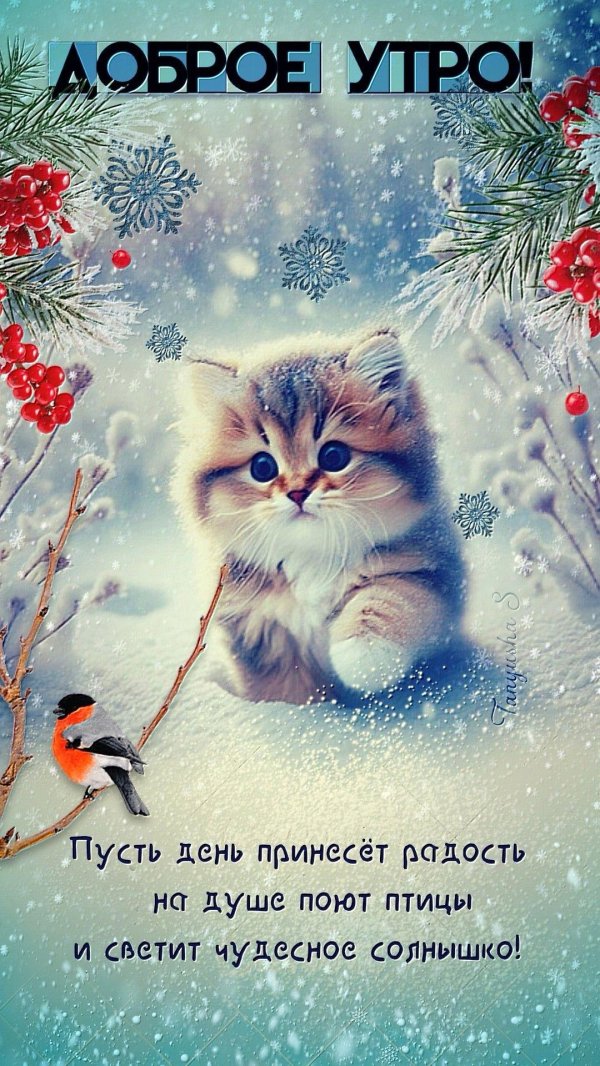 снежное утро доброе