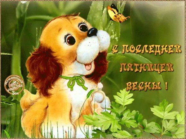 открытки веселые и добрые