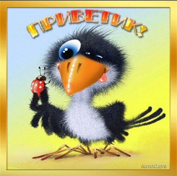 птица смешная