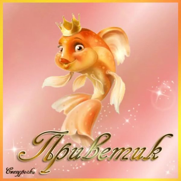 золотая рыбка