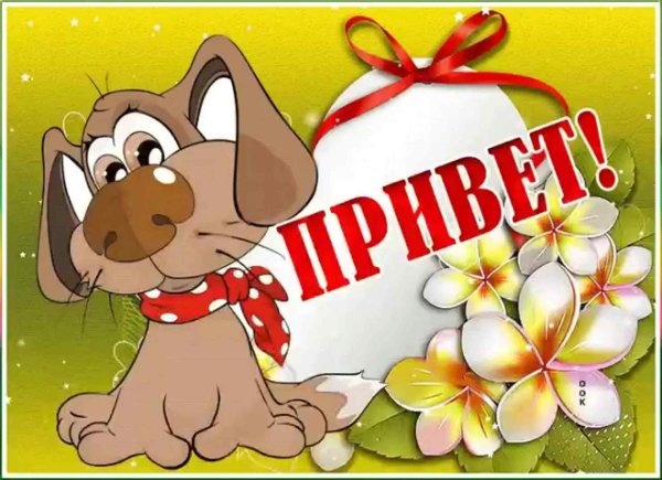 приветик от нас