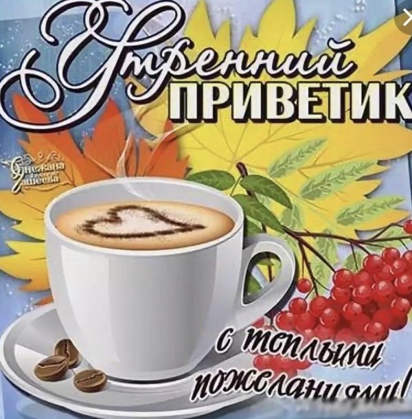 ноябрьский приветик