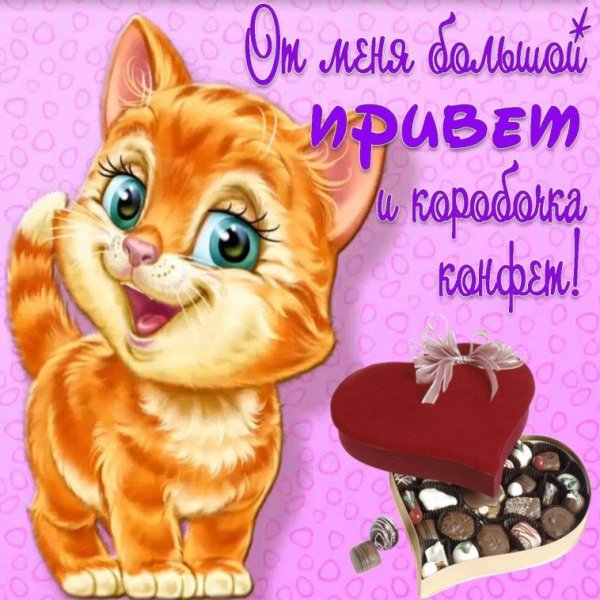 приветствие открытка