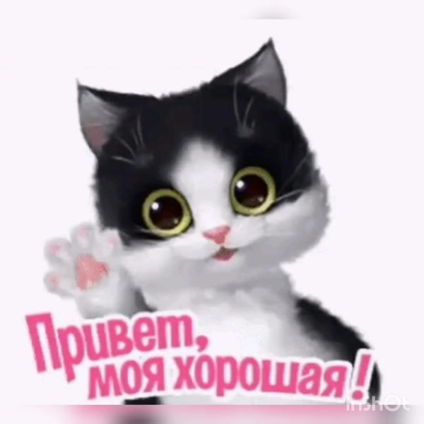 милая привет