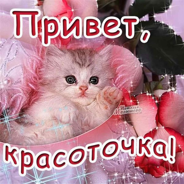 приветик красавица