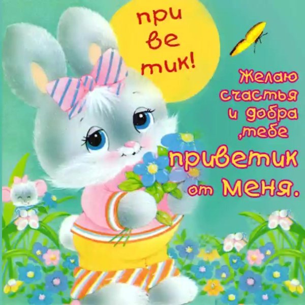 привет зайка