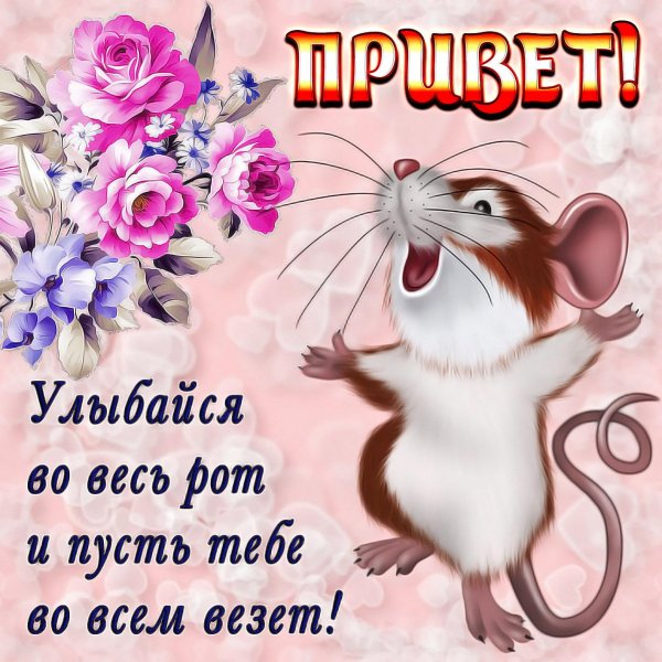 веселая мышка