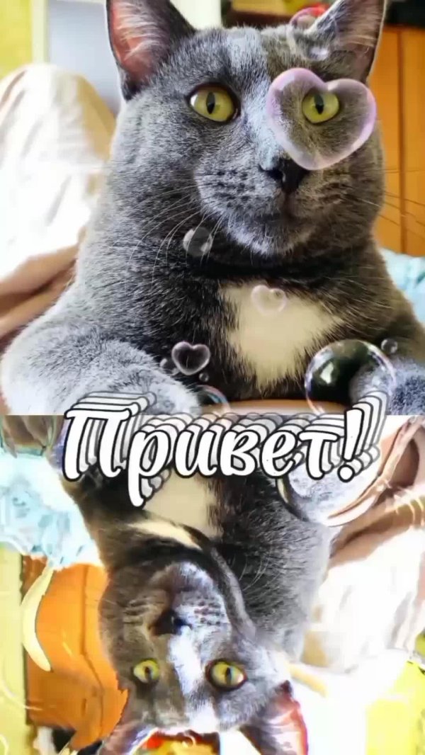 привет красивая