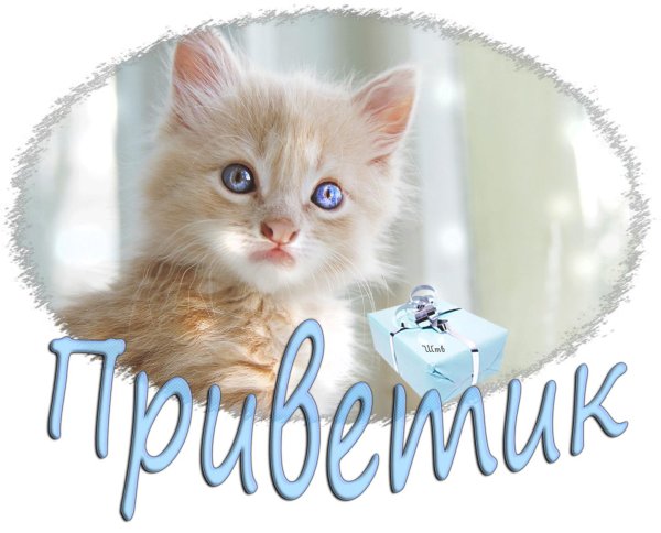 приветик открытки красивые