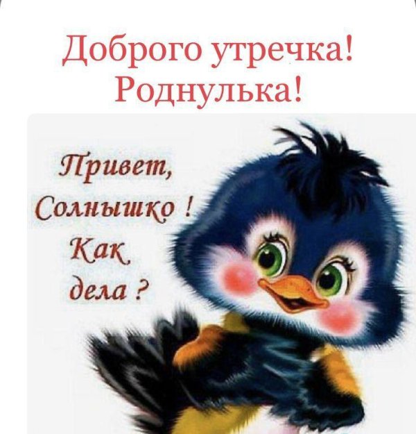 как делишки солнышко