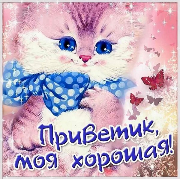 приветик открытки красивые