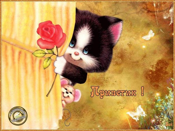 милые открытки