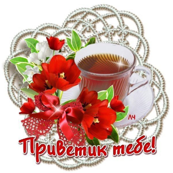 стикер с добрым днем