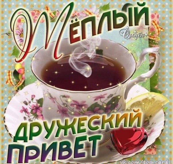 шлю тебе привет