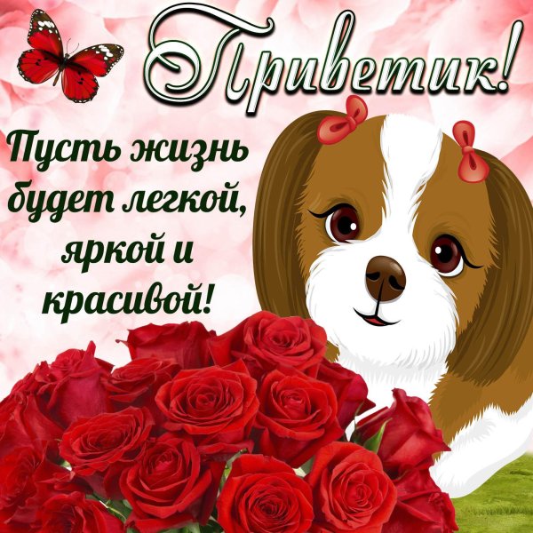 открытки и поздравления