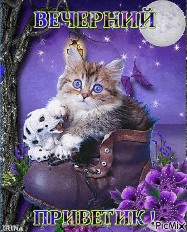 вечерний приветик