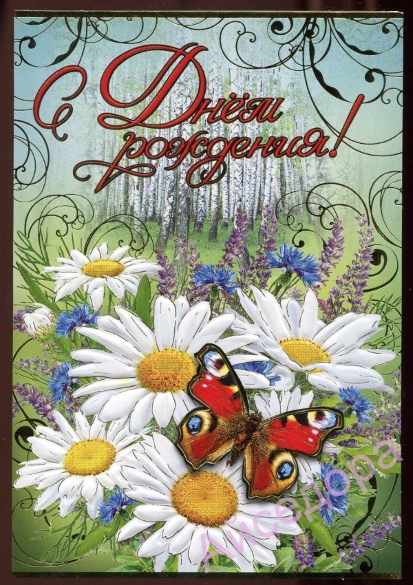 с днем рождения с ромашками