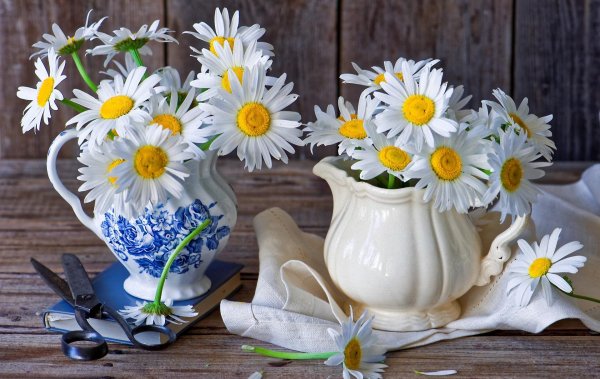 ваза с ромашками