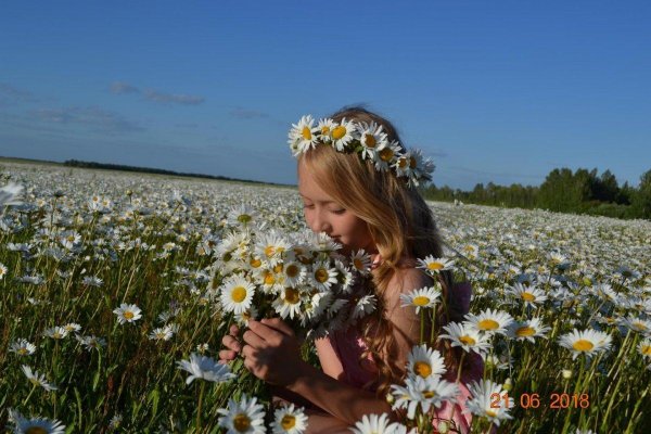 ромашковое лето