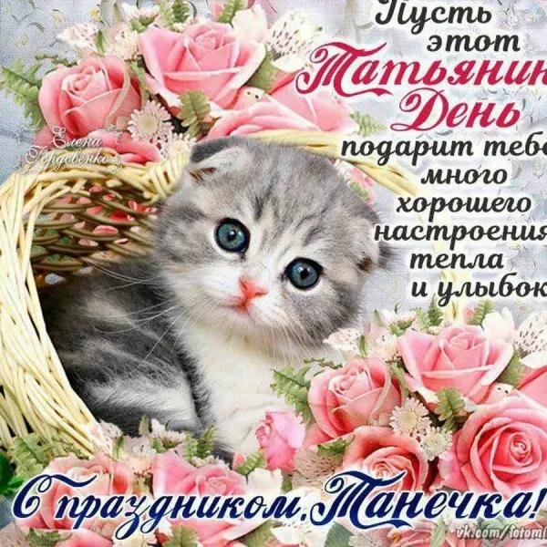 татьянин день поздравление