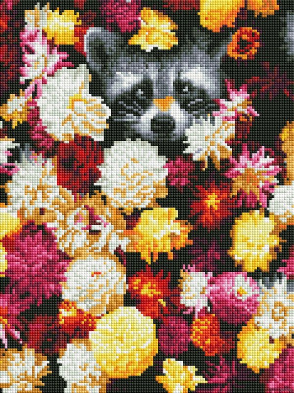 картина енот