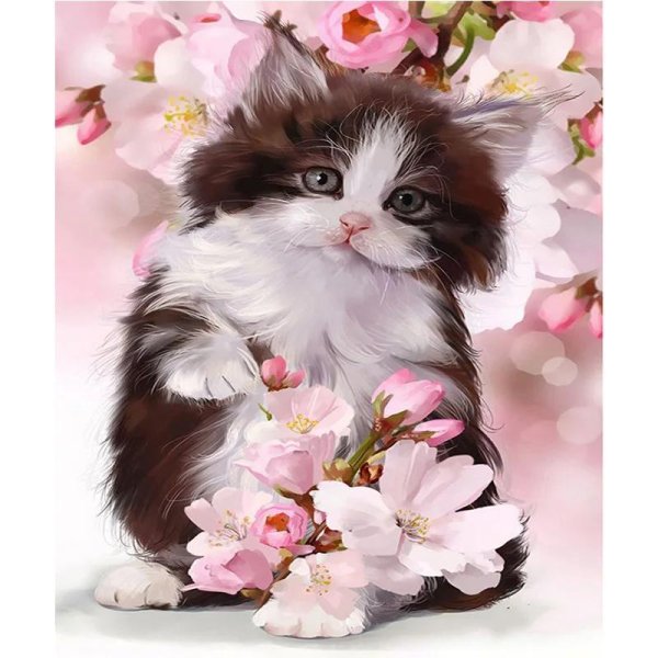 милые котенок