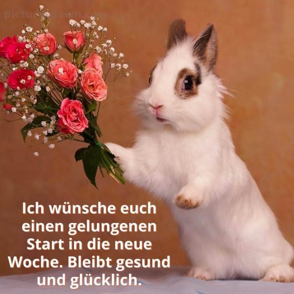 заяц с букетом