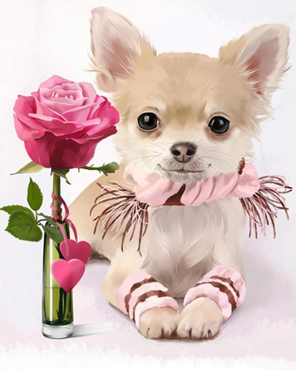 картина чихуахуа