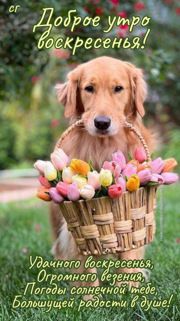 утро воскресения