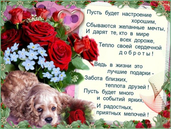 поздравления и пожелания