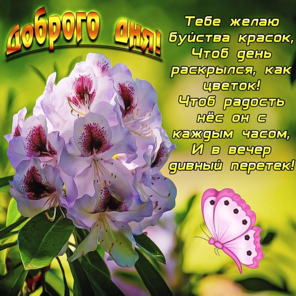 открытки с пожеланиями