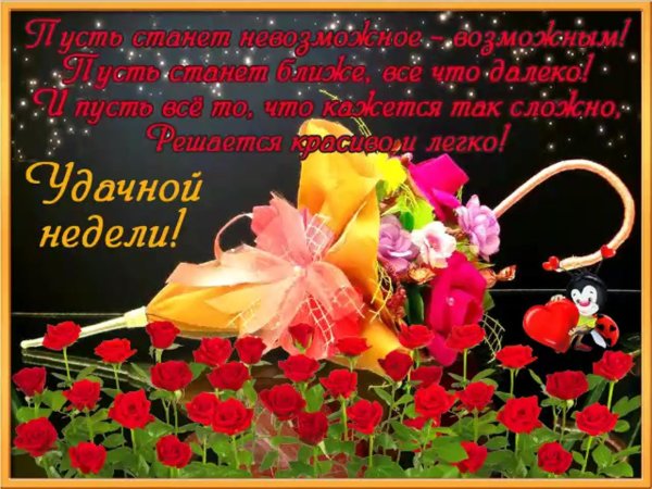 удачной недели