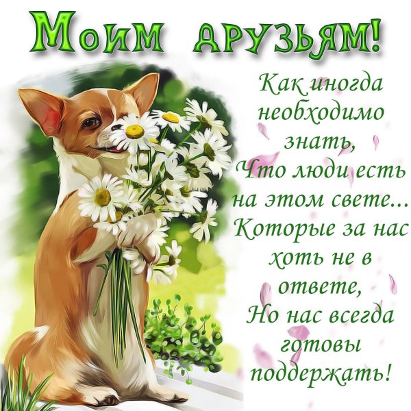 моему другу