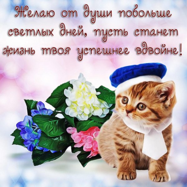 пожелания красивые