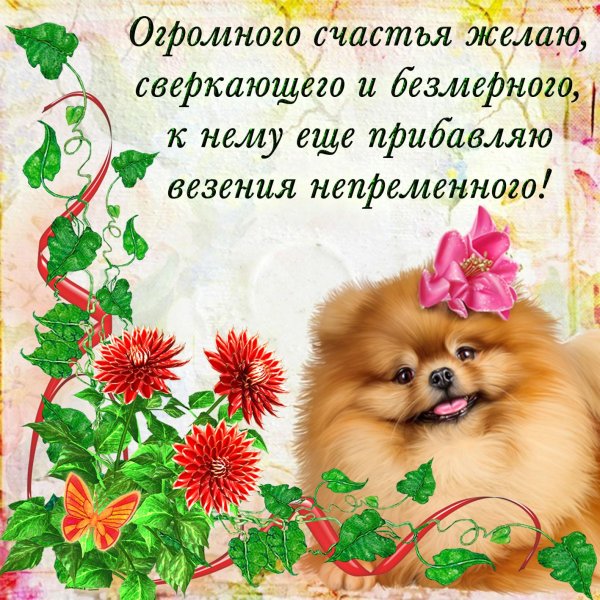 пожелание счастья