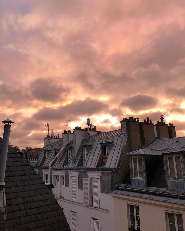paris rooftops