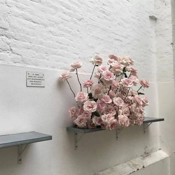 эстетические цветы