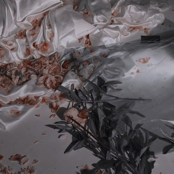 шиндзюку эстетика