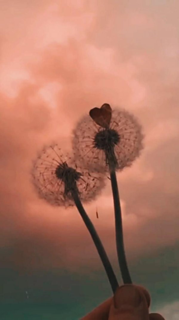 Эстетичные