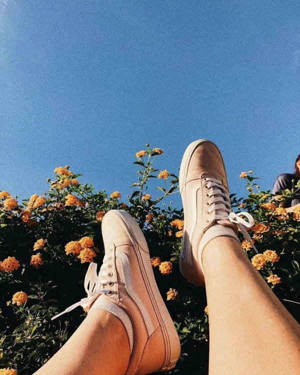 эстетика кеды конверс