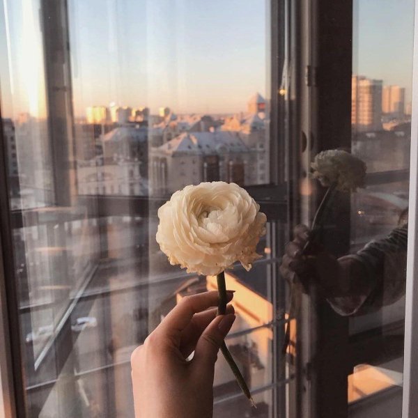 эстетичные фотографии для инстаграмма