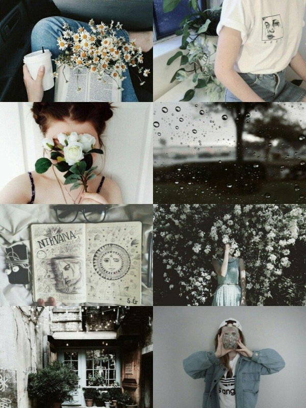 эстетические коллажи