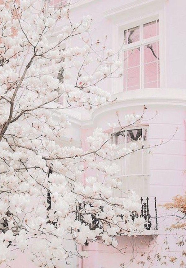 светлая эстетика