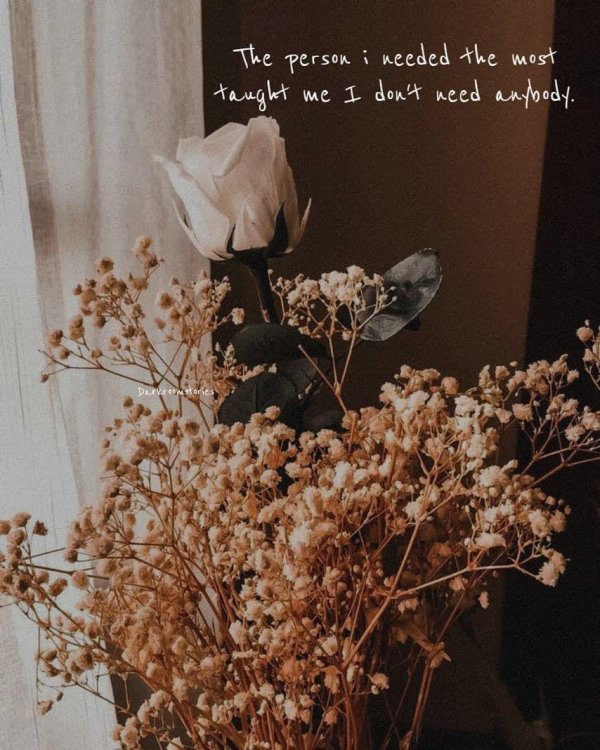 эстетика коричневого