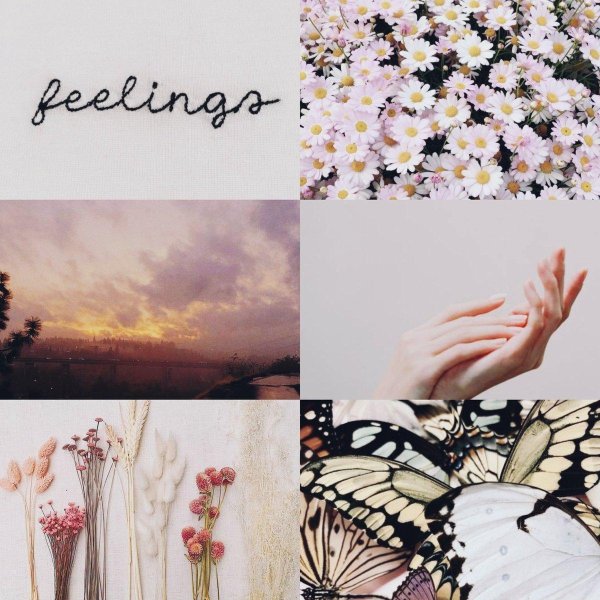 эстетика стиль