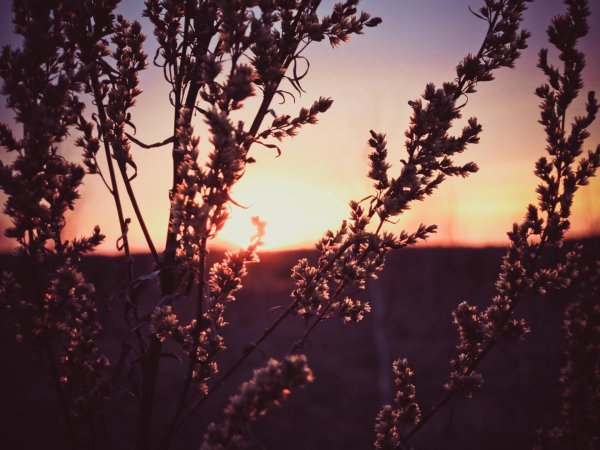 пейзаж закат