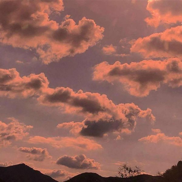 облака розовые