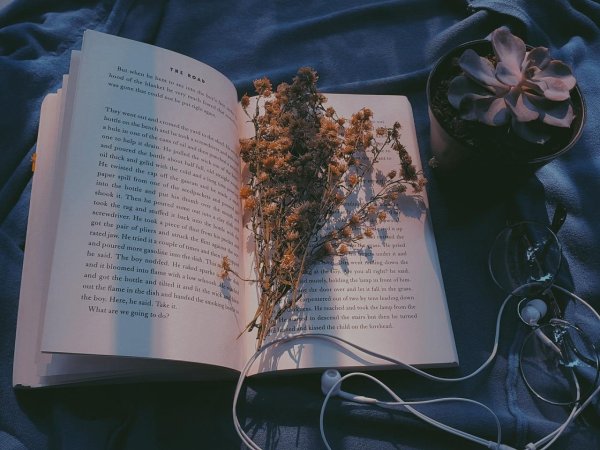 эстетичная книга